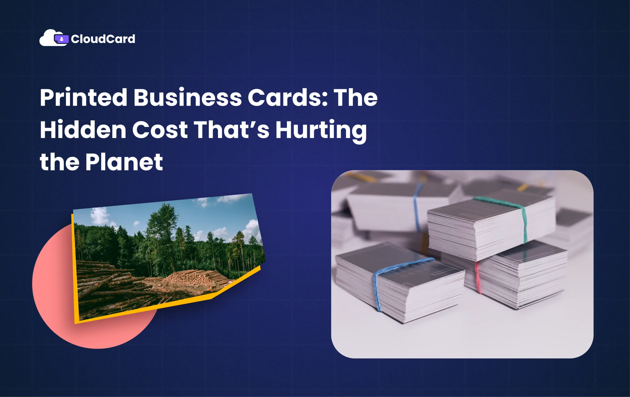 Printed Business Cards: The Hidden Cost That’s Hurting the Planet